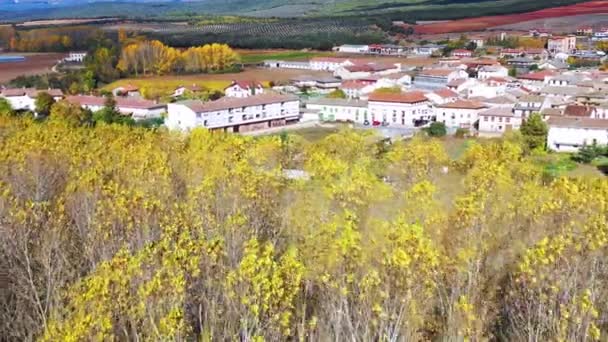 合金石水库海岸和秋季森林 空中风景 纳瓦拉 西班牙 — 图库视频影像