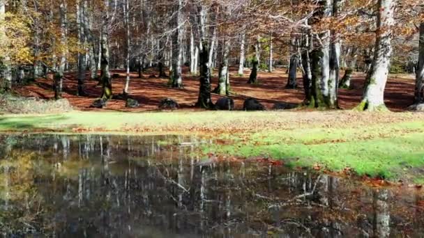 Alloz Nádrž Břeh Podzimní Les Letecký Pohled Navarre Španělsko Evropa — Stock video