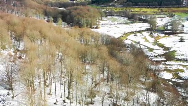 Bos Landbouwgrond Berghelling Winter Luchtfoto Navarra Spanje Europa — Stockvideo