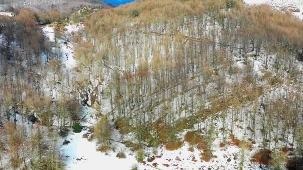 Berghelling Winter Luchtfoto Het Ulzama Navarra Spanje Europa — Stockvideo