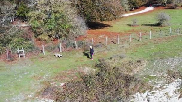 Femme Randonneuse Plein Air Dans Sentier Avec Chien Navarre Espagne — Video