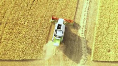 Hasat zamanı hasat zamanı. Navarre, İspanya, Avrupa. Hava görüntüsü. 4K.