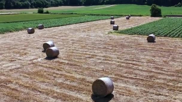 Weizenballen Auf Einem Ackerland Navarra Spanien Europa Luftaufnahme — Stockvideo