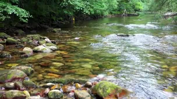 Vista Sul Fiume Ason Colpo Droni Cantabria Spagna Europa — Video Stock