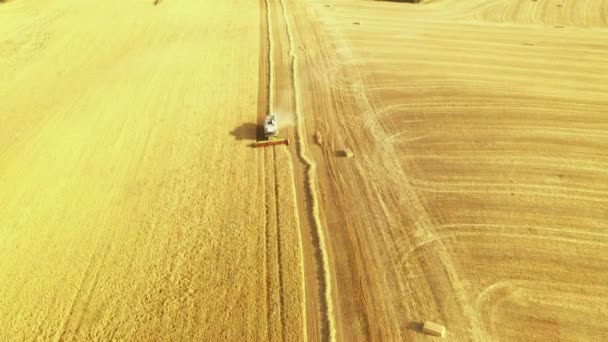 Cosechadora Tiempo Cosecha Navarra España Europa Vista Aérea — Vídeo de stock