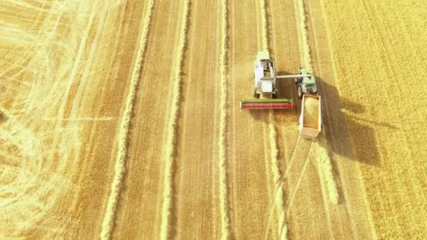 Oogstmachine Oogsttijd Navarra Spanje Europa Luchtfoto — Stockvideo