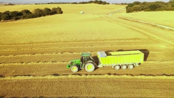 Traktor Der Erntezeit Navarra Spanien Europa Luftaufnahme — Stockvideo