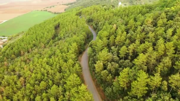森林地区的道路 纳瓦拉 西班牙 空中风景 — 图库视频影像