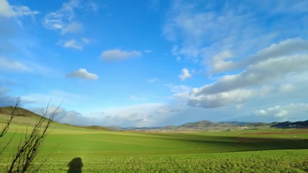 Paisagem Cereais Verdes Rurais Agrícolas Com Nuvens Uma Visão Lapso — Vídeo de Stock