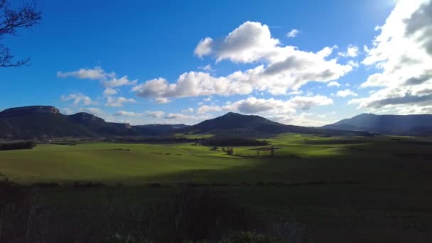 Paysage Céréalier Vert Rural Agricole Dans Une Perspective Temporelle Navarre — Video