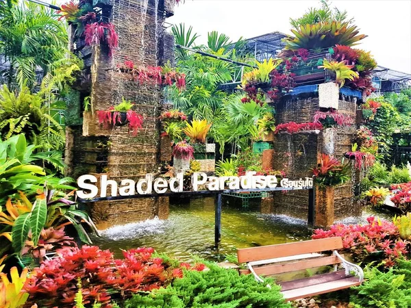 Weer Een Fantastische Tijd Bij Queen Sirikit Botanic Garden Chiang — Stockfoto