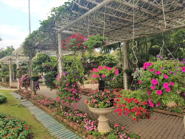 Otro Tiempo Fantástico Queen Sirikit Botanic Garden Chiang Mai Botanical — Foto de Stock
