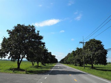 Mavi gökyüzü ile güzel bir yol.