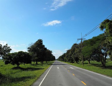 Mavi gökyüzü ile güzel bir yol.