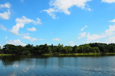 Parktaki Fantastik Göl.