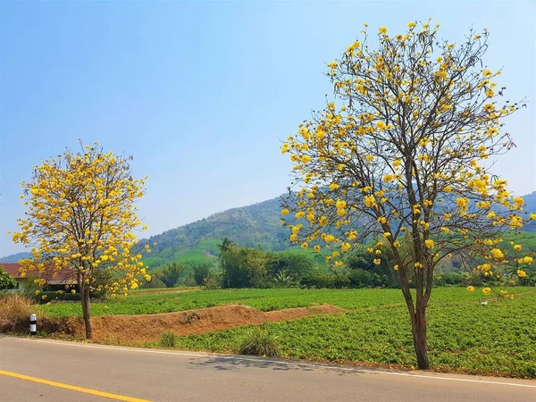 Fantastischer Blick Auf Die Berge Chiang Rai — Stockfoto