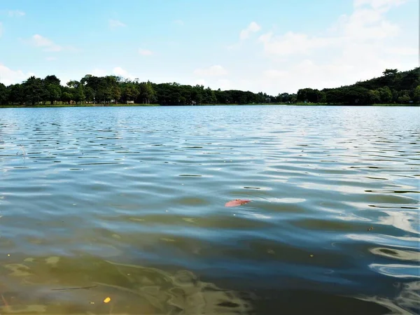 Lago Fantástico Bonito Parque — Foto de Stock