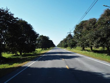 Tatilde kırsalda yol