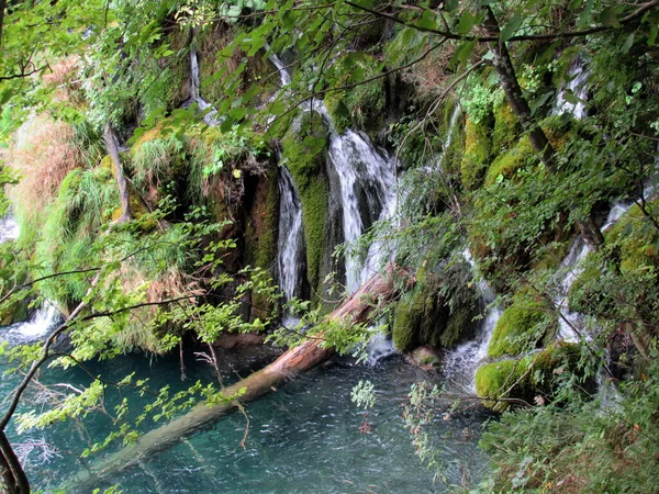 Chorvatsko Kouzelná Plitvická Jezera Vodopády — Stock fotografie