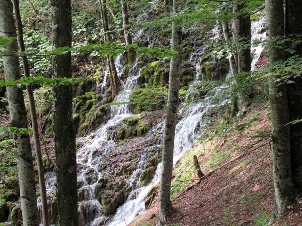 Κροατία Μαγικές Λίμνες Και Καταρράκτες Plitvice — Φωτογραφία Αρχείου