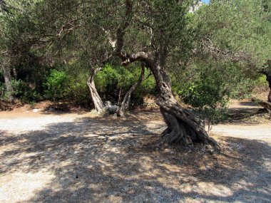 Hırvatistan 'da Adriyatik denizi