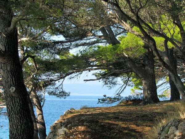 크로아티아의 아드리아해 — 스톡 사진
