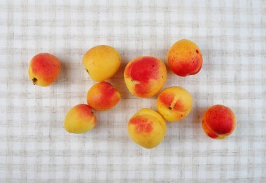 Pamuklu kumaş üzerindeki kayısılar