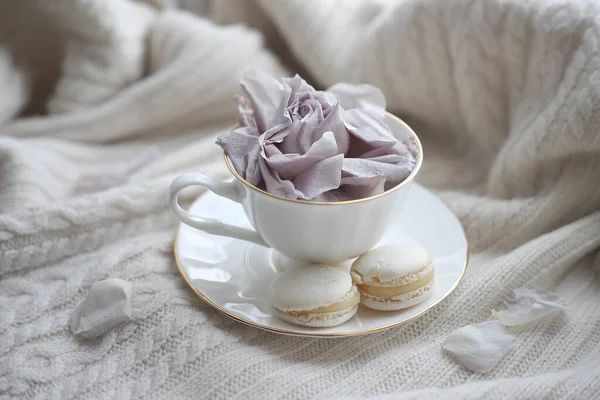 Чашка Кофе Украшенная Пыльной Розой Двумя Макаронами Вязаном Белом Фоне — стоковое фото