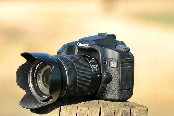 Portrait Black Canon Camera Pole Nature Background — Stock Photo, Image