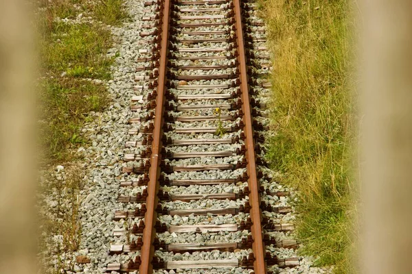 Gamla Rostiga Järnvägsspår Gras Sidan — Stockfoto