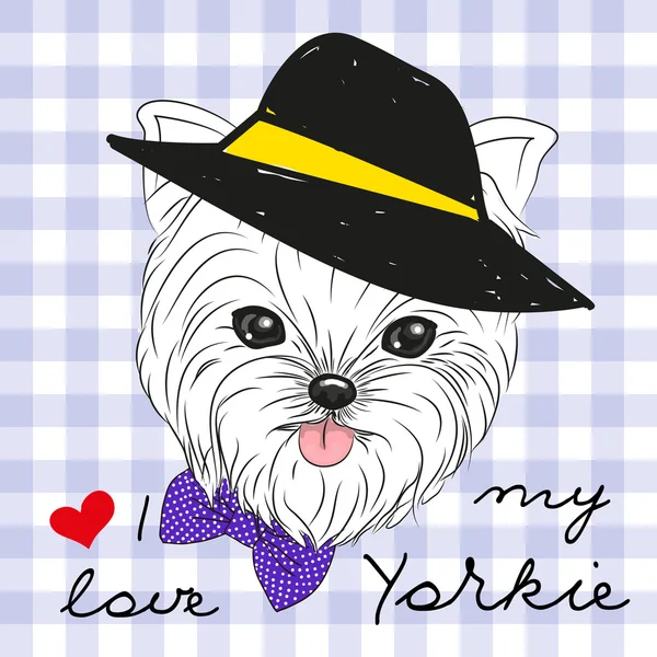 Niedlicher yorkshire terrier — Stockvektor
