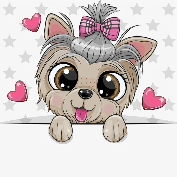 Desenhos Animados Bonitos Dog Yorkshire Terrier Com Arco Fundo Estrelas —  Vetores de Stock