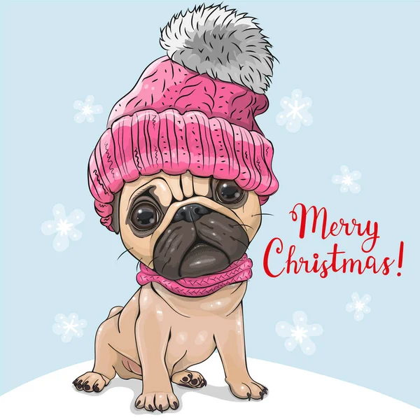 Cute Cartoon Pug Dog Różowy Kapelusz Szalik — Wektor stockowy