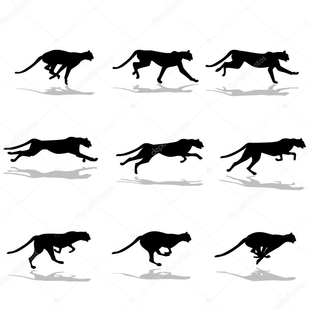 Featured image of post Running Cheetah Vector / Cheetah leopard euclidean illustration, running cheetah, angle, hand, logo png.