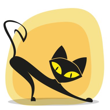siyah kedi