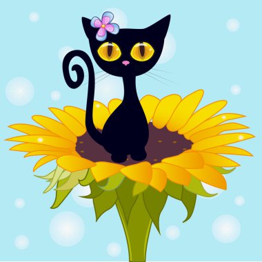 çizgi film siyah yavru kedi