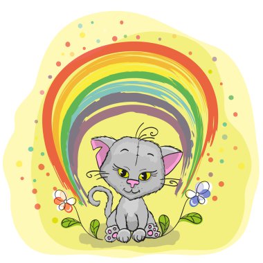 Gökkuşağı ile şirin kedi