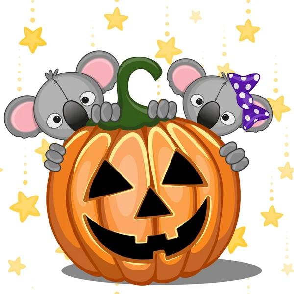 Koala's Halloween met pompoen — Stockvector