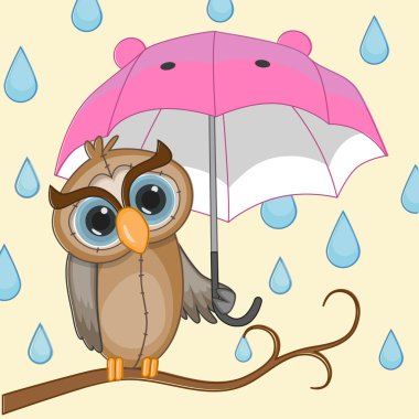 uil met parapluşemsiye ile baykuş