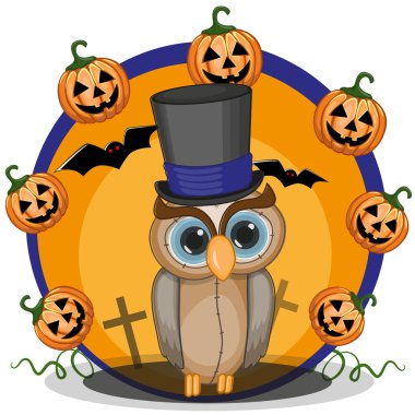 Cadılar Bayramı baykuşlar kabak ile