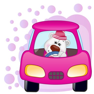 Kutup ayısı kız arabada