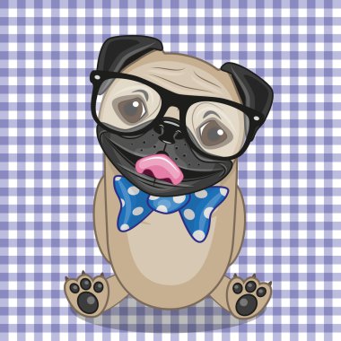 Hipster Pug köpek