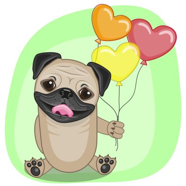 Balonlar ile pug köpek