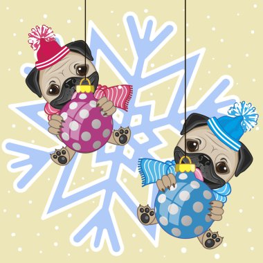 İki Pug köpek şapkalı