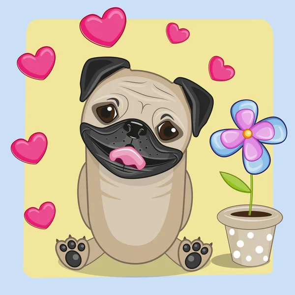 Pug hond met hart en bloem — Stockvector