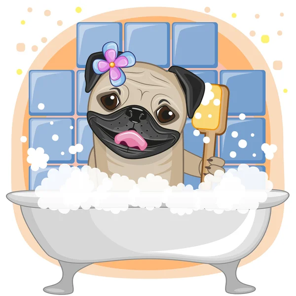 Cute Pug Dog — Stock Vector