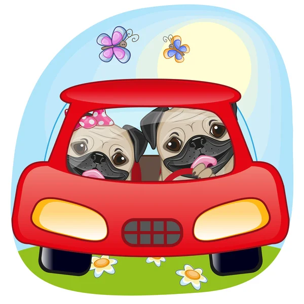 Dos perros Pug en un coche — Vector de stock