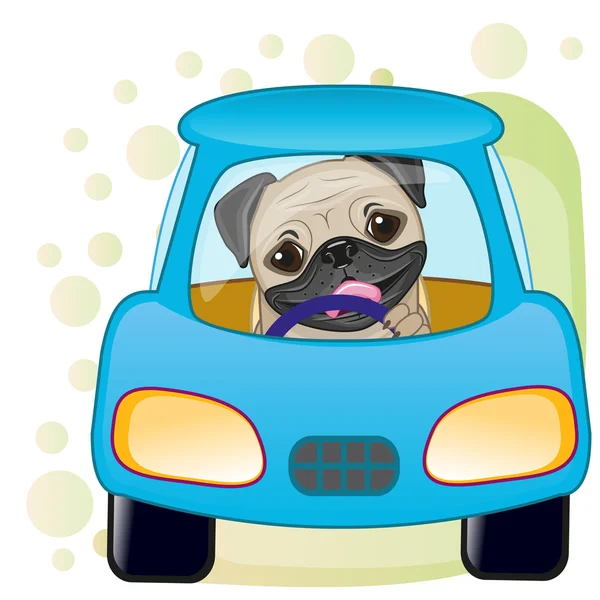 Pug Dog em um carro —  Vetores de Stock