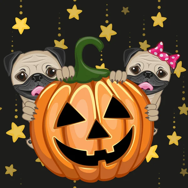 Cães de Halloween com abóbora —  Vetores de Stock