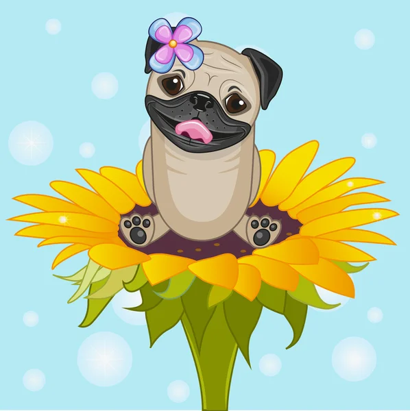 Cão de pug dos desenhos animados —  Vetores de Stock